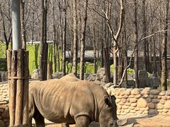 -北京野生动物园