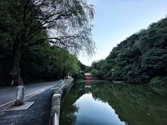 -黔灵山公园