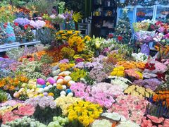 -双季花艺园艺市场(浦东店)