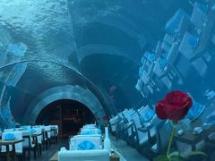 -涛·海底餐厅·美人鱼·自助餐·海底隧道(三亚海棠湾洲际度假酒店)