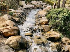 -大连植物园