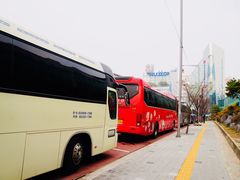 -东大门市场