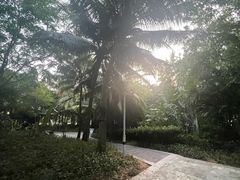 -三亚海棠湾喜来登度假酒店