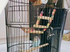 -郑远元专业修脚房(宣化路店)