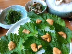 鲜活海胆-王鼎精致料理铁板烧(世博源店)