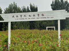 -林栖谷森林康养度假区