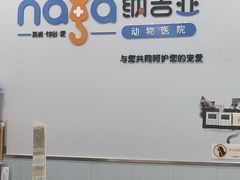-纳吉亚猫专科动物诊疗中心(蒋宅口分院)