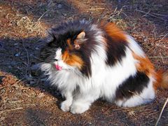 -大钟寺古钟博物馆