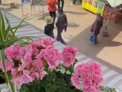 -辣辣小吃豆花米线(大观篆新农贸市场店)