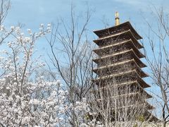 -牛首山文化旅游区