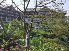 -海口万豪·大堂吧·望海吧.日落海景·下午茶·奶茶·咖啡·轻食·蛋糕·鸡尾酒·清吧