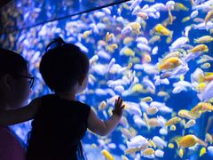 -成都浩海立方海洋公园