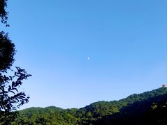 -梧桐山风景名胜区