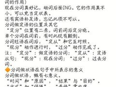 -深圳市福田区外国语小学(景秀校区)