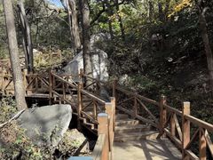 -大岭沟猕猴桃谷风景区