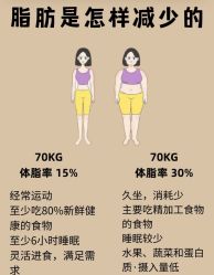 -Fundi张玉珊修身堂·indiba·BTL科技瘦身