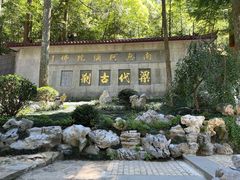 -东天目山风景区