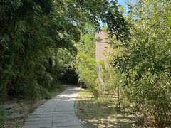 -微山湖红荷湿地景区