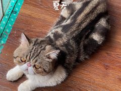 -参差咖啡(水果湖公园店)