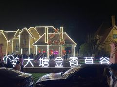 -大塘金香草谷