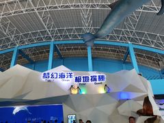 -泉城欧乐堡海洋极地世界