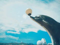 -澳门环岛游湾仔码头