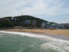 -枸杞岛