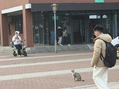 -常州大学怀德学院