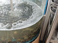 -仙螺岛海鲜自助餐厅(总店)