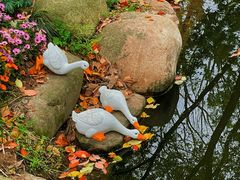 -上海共青森林公园