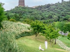 -牛首山文化旅游区