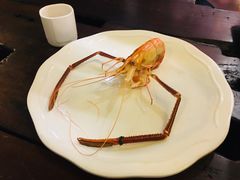 -百鱼庄(仙葫店)