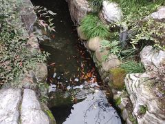 -杭州第一世界大酒店·云曼温泉