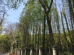 -上海佘山国家森林公园西佘山园