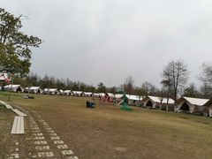 -上海海湾国家森林公园