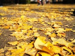 -两江幸福广场