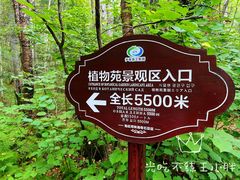 -汤旺河林海奇石景区