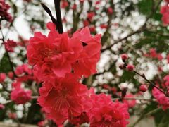 -南京市江宁方山
