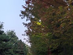 -辽宁大学(崇山校区)