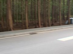 -日照海滨国家森林公园