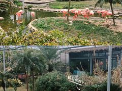 -无锡动物园·太湖欢乐园