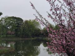 -梁鸿国家湿地公园