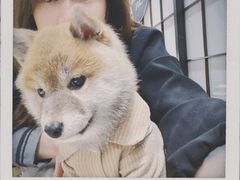 -逗柴咖啡屋·狗咖猫咖宠物桌游