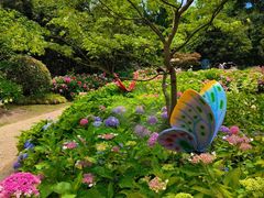 -上海共青森林公园