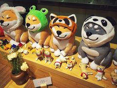 -柴务处·柴犬主题狗咖