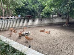 -成都动物园