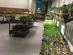 -鹿岛会员店 (龙湖三千集天街店)