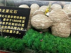 -昆明动物园