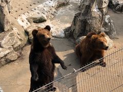 -成都动物园