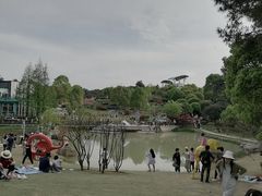 -铁山坪森林公园